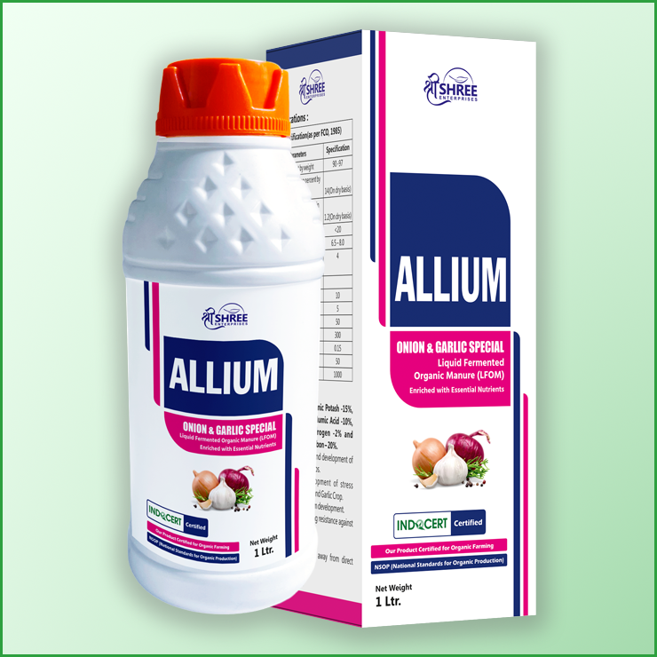 Manufacturer of Allium in Ahmedabad