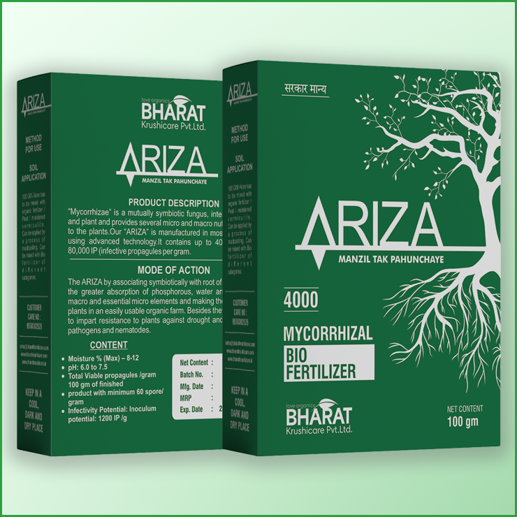 Manufacturer of Ariza in Ahmedabad